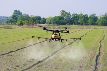 Fototapeta na wymiar Farmers use drones for agriculture to spray fertilizers or agricultural chemicals.