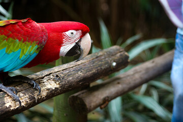 Fotografia animal.
Capturando momento epicos, los cuales muchas veces dejamos pasar por prestar atención a cosas menos importantes.