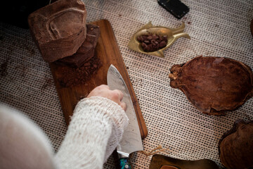 Shaman hand holding a sharp knife, chop the cacao.cacao ceremony
