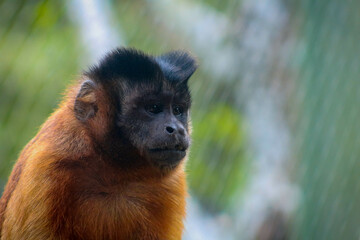 Fotografia animal.
Capturando momento epicos, los cuales muchas veces dejamos pasar por prestar atención a cosas menos importantes.
