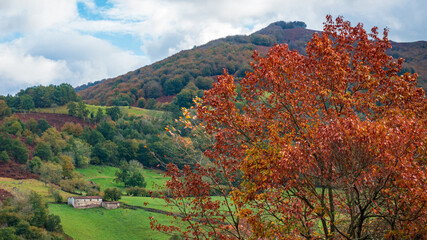 Fototapeta premium Camins del GR11