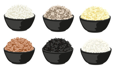 different type of rice, white rice, brown rice, black rice, etc.