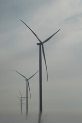 Windmills with rotor blades producing renewable ecological energy. Windmills turbines covered with...