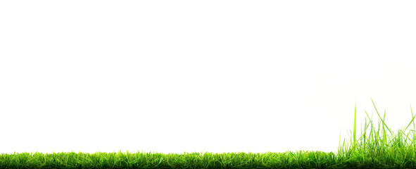 A freshly cut, mowed lawn with longer grass at the edge of the lawn that is yet to be cut isolated against a transparent background. - obrazy, fototapety, plakaty