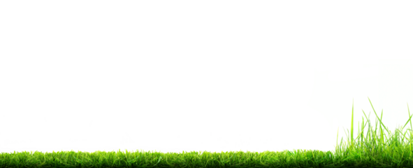 A freshly cut, mowed lawn with longer grass at the edge of the lawn that is yet to be cut isolated against a transparent background.