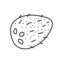 Hand drawn coconut icon. Vector illustration in sketch ink style for brochures, banner and label product market