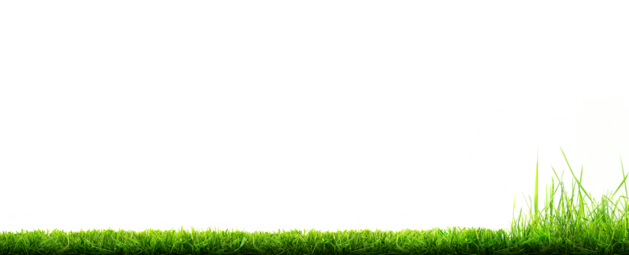 A freshly cut, mowed lawn with longer grass at the edge of the lawn that is yet to be cut isolated against a transparent background.