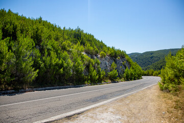 The road to the mountains is paved with trees and bushes.