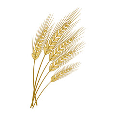 Wheat Spikelets. Bouquet of Yellow Wheat Spikelets With Grains. Vector Illustration of Wheat