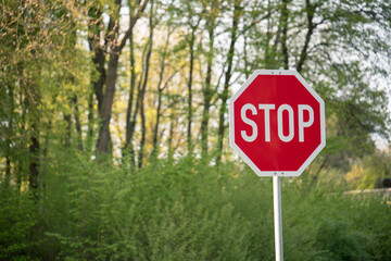 Ein rotes Stop-Schild vor einem kleinen Waldstück