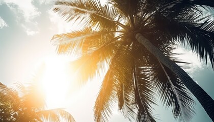 Fototapeta na wymiar Copy space of tropical palm tree with sun light on sky background. Generative AI