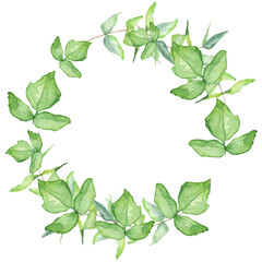 Watercolor frame - illustration with  leaves elements, for wedding stationery, congratulations, wallpapers and more on white background.