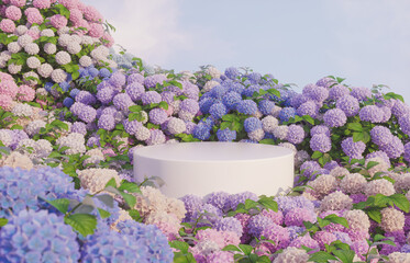 Natural beauty podium backdrop for product display with Hydrangea field. 3d rendering.