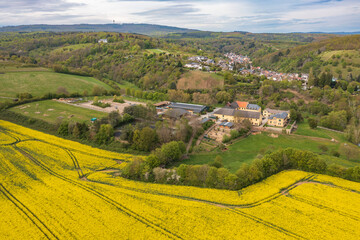 Obraz premium Aerial view of flowering rapeseed fields in the Rheingau near Frauenstein - Germany near Wiesbaden