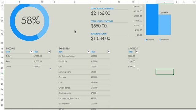 Maintaining a budget, accounting in a table on a computer. Graphs, numbers