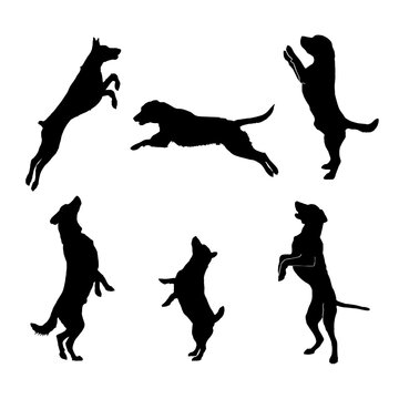 Dog jump Set silhouettes illustration vector