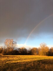 rainbow over the field