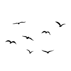 vector silhouette of flying birds
