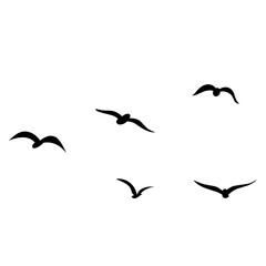 Fototapeta premium vector silhouette of flying birds