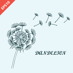 Hand drawn dandelion with flying seeds, dandelions design vector flat isolated illustration