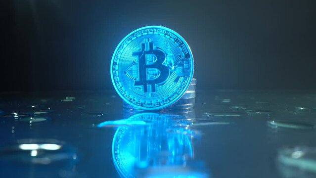 Bitcoin BTC coins on the table with reflect surface and drops. . Halving cryptocurrency. Digital coin btc money crypto currency on bitcoin farm in digital cyberspace. Worldwide virtual internet