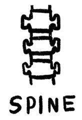 line drawing icon symbols internal organs spine