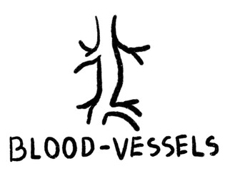 line drawing icon symbols internal organs Medical blood-vessel