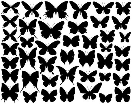 Selection of vector butterfly outlines and silhouettes
