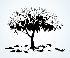 Vector drawing. Withered tree with fallen leaves - obrazy, fototapety, plakaty