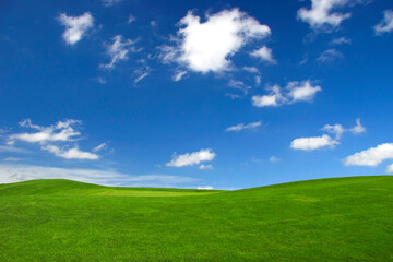 Beautiful green landscape with a great blue sky with white clouds
