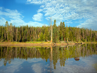 Reflecting pine trees in a clear, clean mountain lake fresh and clear 