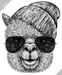 Vintage engraving isolated lama set glasses dressed fashion illustration ink costume sketch. Alpaca background America animal silhouette sunglasses hipster hat art. Vector hand drawn image. © Turaev