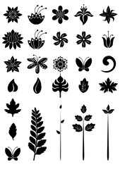 Fototapeta premium Vector illustration - floral design elements