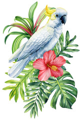Beautiful tropical bird watercolor illustration hand drawing, parrot, flowers and palm leaf in isolated white background
