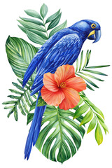 Beautiful tropical blue bird watercolor illustration hand drawing, parrot, flowers and palm leaf in isolated white background