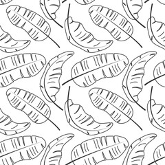 Contour banana Palm Leaves background. Summer Tropical seamless Pattern. Outline Exotic plants vector illustration