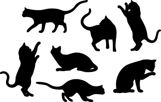 Illustration Set of Seven Cat Vector Silhouettes