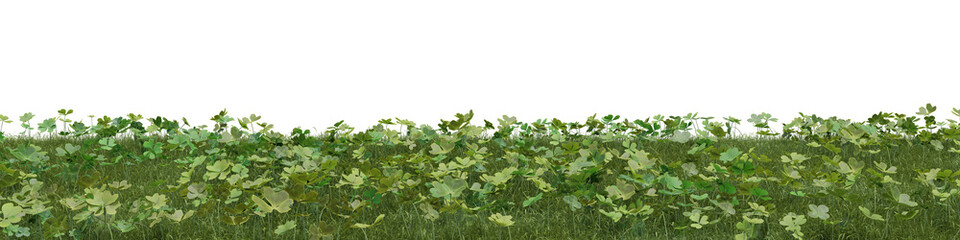 Evergreen grass field and weed in nature, meadow in springtime, Tropical forest isolated on transparent background - PNG file, 3D rendering illustration for create and design or etc