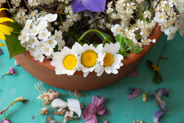Obraz na płótnie Canvas Spring Flowers Concept Photo, Üsküdar Istanbul, Turkey (Turkiye)