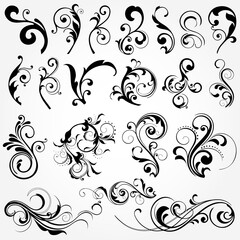 illustration drawing of floral design elements