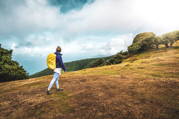 Backpacker in rainproof clothes walks along a grassy hill with larual trees in the background overlooking the sea. Fanal Forest, Madeira Island, Portugal, Europe.