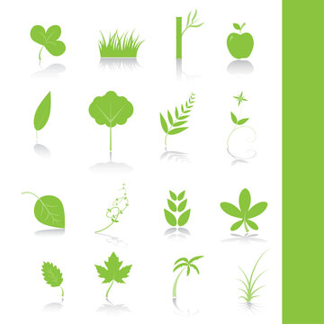 Vector - Green plants, leaves, trees icon symbol set.