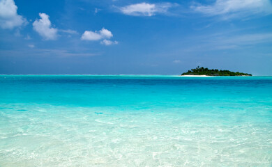 Fototapeta na wymiar small Tropical Island with Coconut Palmtrees in the indian ocean