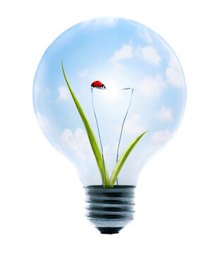 Clean energy, a light bulb with a bright sky, grass, and lady-bug.