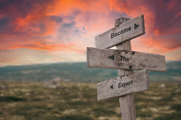 become the expert text quote on wooden signpost outdoors in nature. Pink dramatic skies in the...