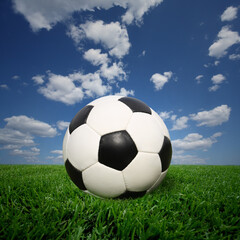 Fototapeta premium soccer ball on grass