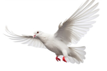 Obraz premium White flying dove in white background. Generative AI