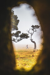 Woman dancing ballet beside solo laurel tree on flat field, seen through large tree hole. Fanal forest, Madeira Island, Portugal, Europe.