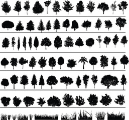 Fototapeta premium Set of silhouettes of trees, bushes and grass