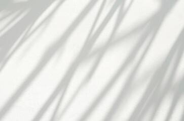 Obraz premium Leaf shadow and light on white concrete wall, overlay effect for photo, mock up, product, wall art, design presentation